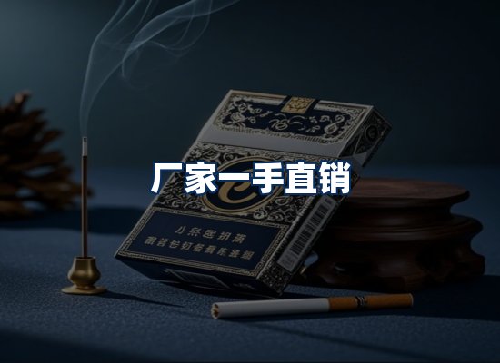 专业团队办公环境